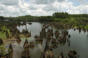 The Dead Lakes in Wewa